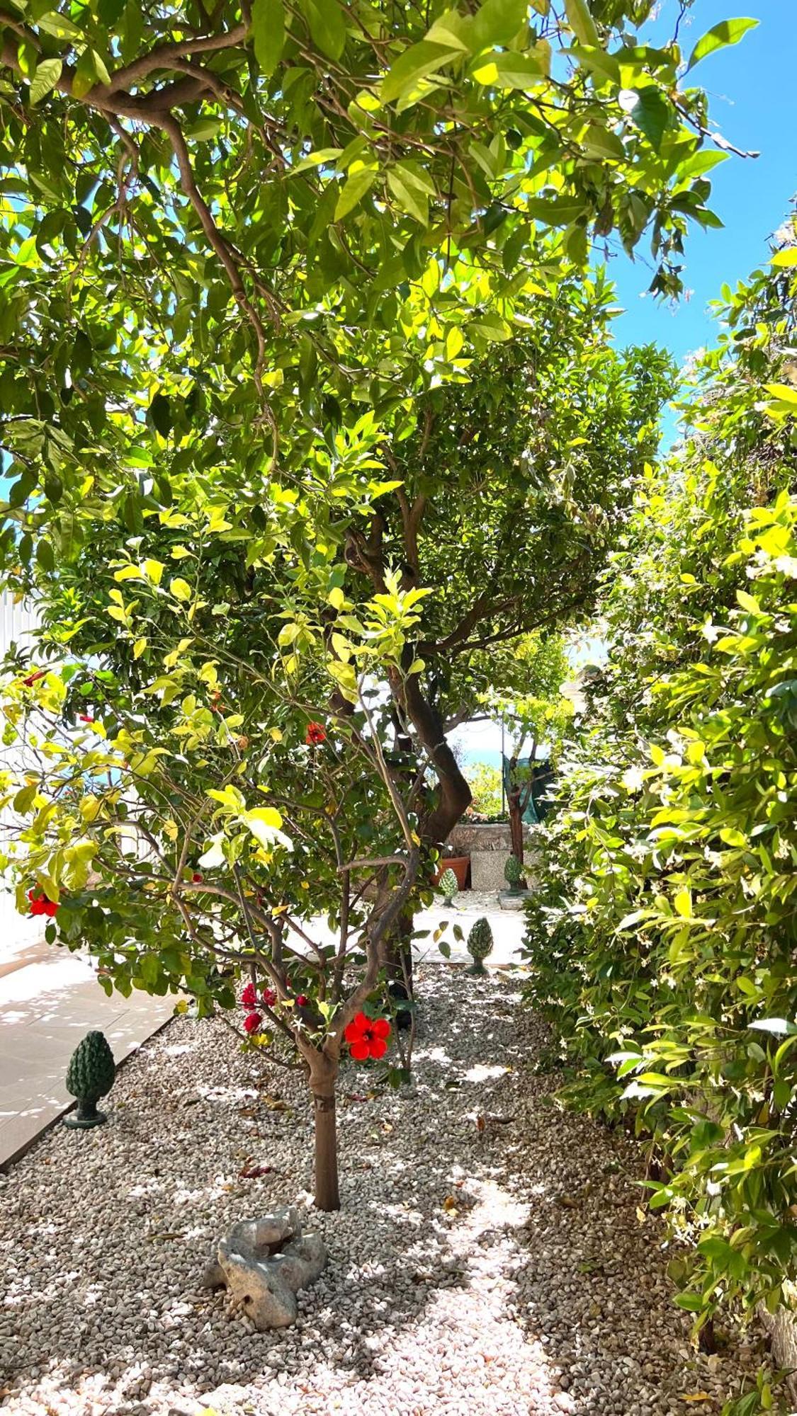 Villa Mediterranea, Taormina, Private Pool & Sea View Экстерьер фото